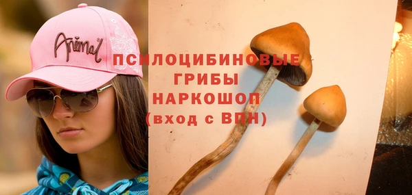 а пвп мука Абаза