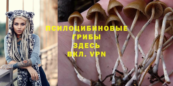 ГАЛЛЮЦИНОГЕННЫЕ ГРИБЫ Абинск