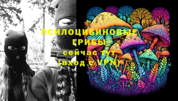 а пвп мука Абаза