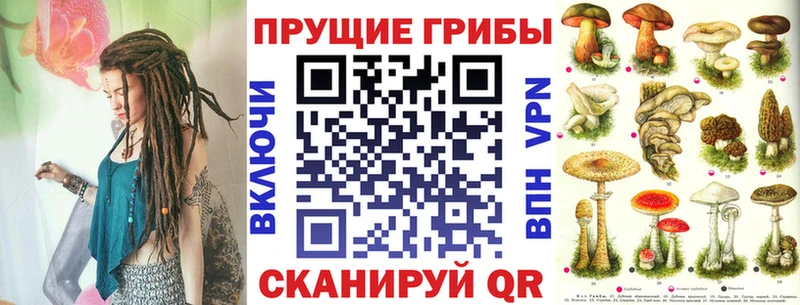 Псилоцибиновые грибы мицелий  Курлово 